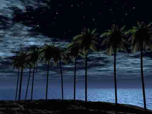 沈阳音乐学院校花梁清沅