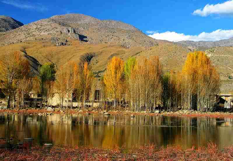 广西师范大学校花戴星眠