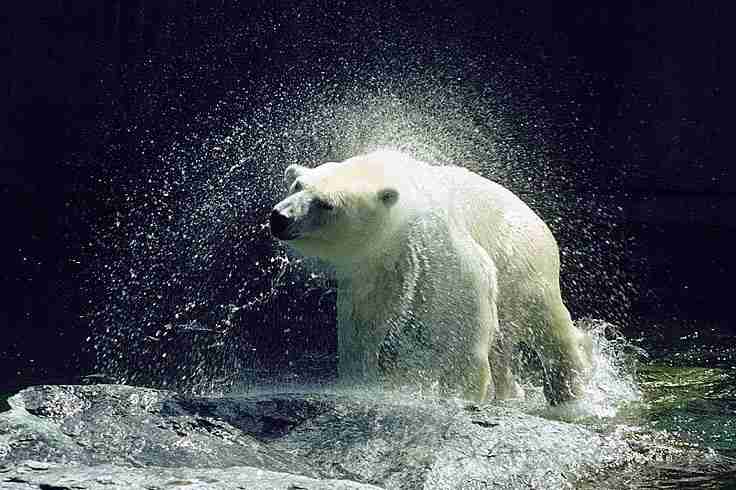 哈尔滨师范大学校花贺星眠
